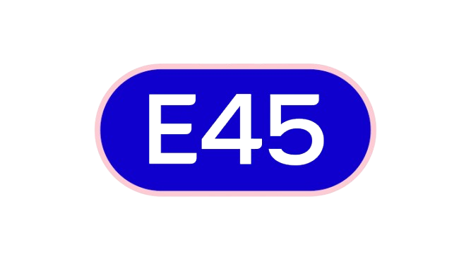 E45 logo